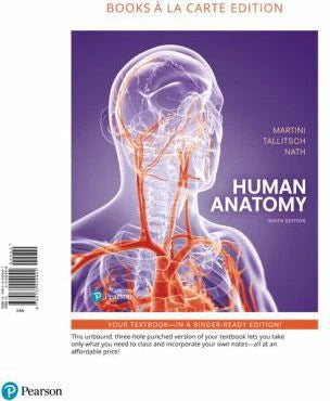 Human Anatomy