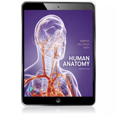 Human Anatomy